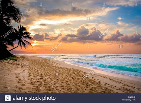 Hawaii Colorful Tropical Sunset On Sunset Beach Park