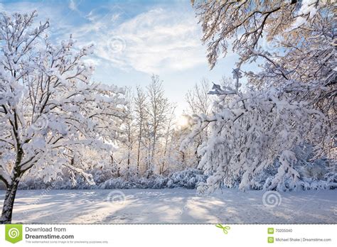 Snowy Winter Sunrise Scene Stock Photo Image Of December