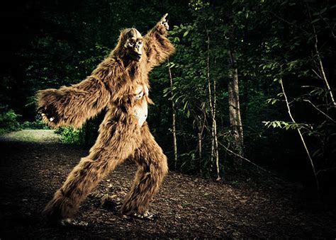 Bigfoot Stock Photos Pictures And Royalty Free Images Istock