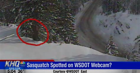 Could It Be Sasquatch Spotting On Wsdot Camera Spokane News