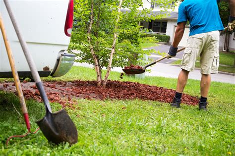 Advantages Of Hiring A Professional Landscaping Company