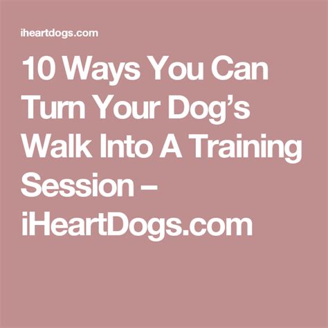 10 Ways You Can Turn Your Dogs Walk Into A Training Session