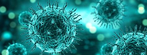 Qué son las zoonosis y cómo se transmiten - TRAZA