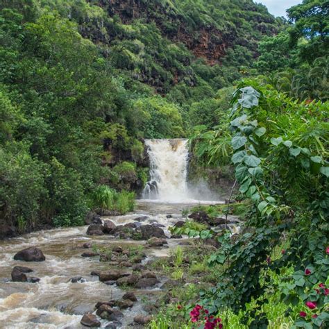 6 Gorgeous Waterfall Hikes In Oahu To Discover Savored Journeys