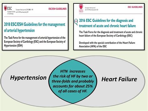 The Progression Of Hypertensive Heart Diseasefrom Hypertension To He