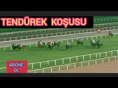 Tüm safkanların ilgililerine başarılar diler, koşuda yer alacak i̇ngiliz taylarının ayaklarının düz basmasını temenni ederim. TENDŪREK KOŞUSU (AÇIK-3/3İ) 14/06/2020 ADANA - YouTube