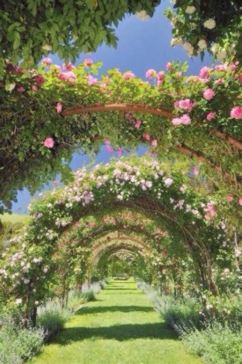 ꧁𝑐𝑜𝑡𝑡𝑎𝑔𝑒 𝑐𝑜𝑟𝑒꧂ Beautiful Gardens Nature Aesthetic Dream Garden