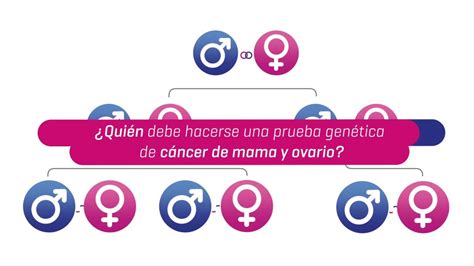Test De Cáncer Hereditario De Mama Y Ovario Mutaciones En Los Genes