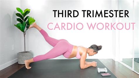 3rd Trimester Pregnancy Workout Low Impact Cardio At Home Suitable For All Trimesters Youtube