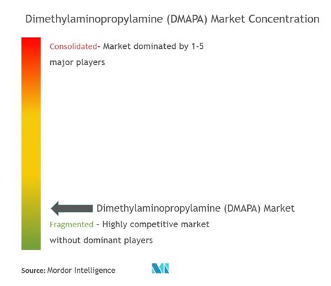 Dimethylaminopropylamine Dmapa Market Share