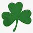 IRISH SHAMROCK GREEN CLOVER 5 Or 8