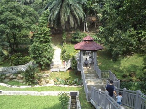Kuala lumpur lake garden was the old name of perdana botanical gardens and is the first public park in the city. Not Just Curry and Chapatti : Botanical Gardens - Kuala ...