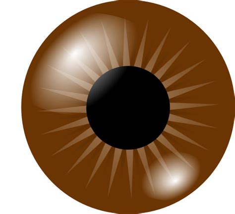 Brown Eyes Png Free Logo Image