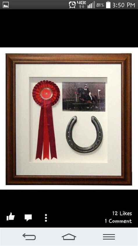 Another cool in memory of | Horse shadow box, Show horses, Horse decor