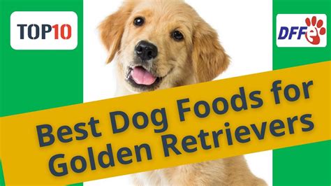 Top10 Best Dog Foods For Golden Retrieversreviews Buying Guide 2021