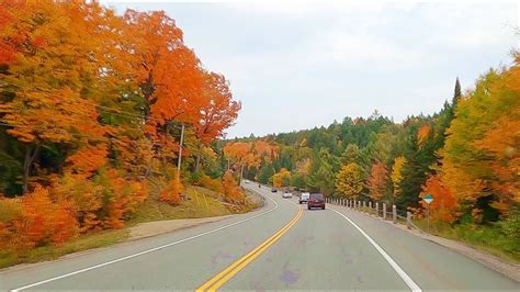 Autumn Colors Scenic Drive Through Algonquin Park Fall Colors Youtube
