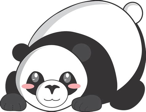 Download Giant Panda Red Panda Bear Drawing Cuteness รูป หมี แพนด้า