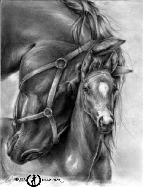 Pin By Gracieli On Bruta Delicada Estampas Pencil Drawings Of Animals