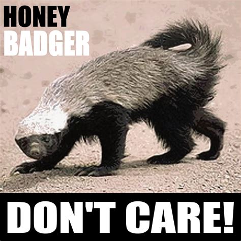 Honey Badger Dont Care Poster Love It Pinterest