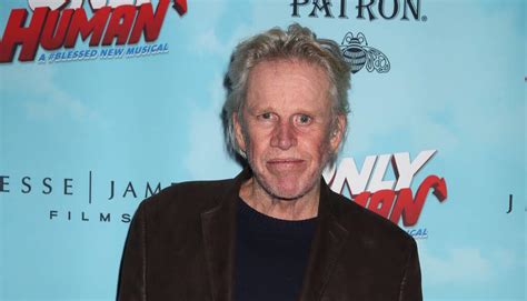Gary Busey Charged With Sex Offenses After Appearance At Film Convention Mytalk 107 1