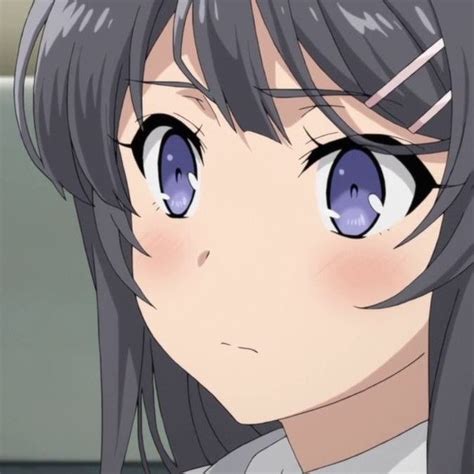 Pin On Seishun Buta Yarou Icon