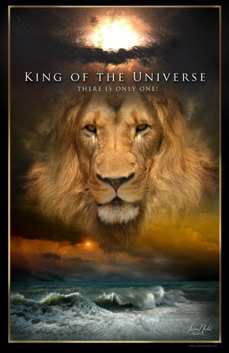 Lion Collection Lion Of Judah Prophetic Art King Of Kings