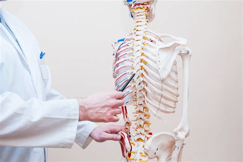 Chiropractic Service And Technique Explained