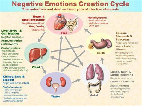 organs and emotions chart tcm