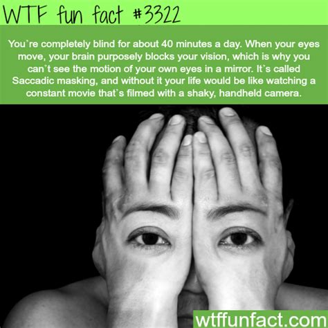 Wtf Facts Funny Interesting And Weird Facts Wtf Fun Facts Fun Facts
