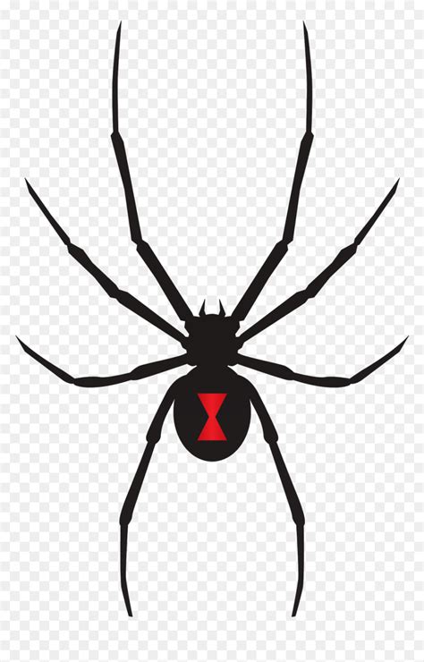 Black Widow Spider Svg Hd Png Download Vhv