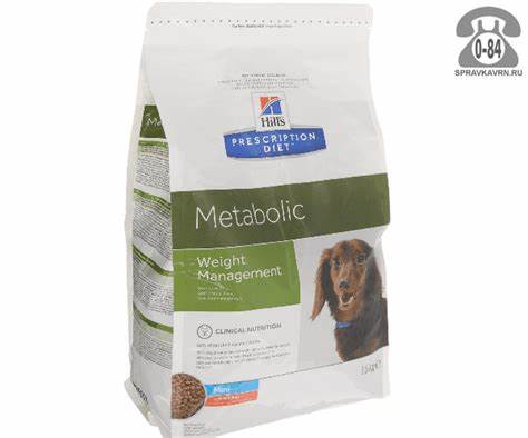 Высококалорийная диета кому назначается Высококалорийная диета для собаки - фото презентация Высококалорийная диета для собаки - фото презентация Высококалорийная диета кому назначается