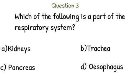 Grade 6 Science Test Questions With Answers 2023 Quiz 1 Are You