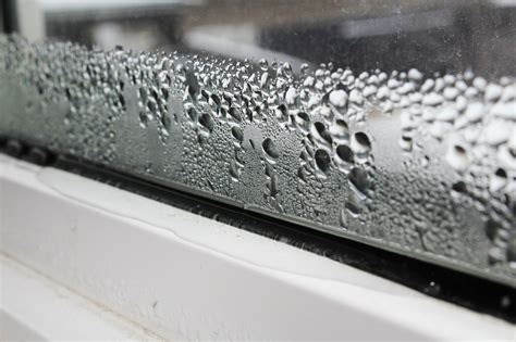 Check spelling or type a new query. How to Prevent Condensation Damage - Complete Glazing ...