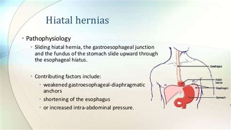 Nursing Care Of Patients With Hernia