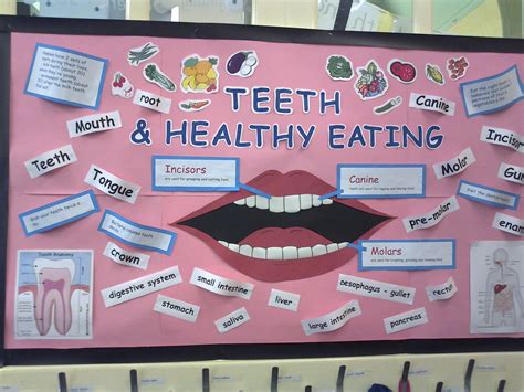 Teeth & Healthy Eating | Mouth healthy, Healthy eating for kids, Healthy teeth