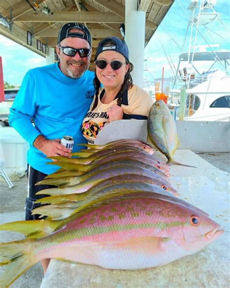 All About The Yellowtail Snapper Facts About Florida Keys Yellowtail