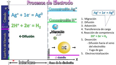 Procesos De Electrodo En La Reacción Electroquímica Youtube