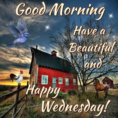 Good Morning Have A Beautiful And Happy Wednesday Pictures Photos And