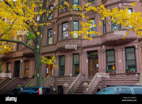 Harlem Row Houses In The Mount Morris Park Historic District Autumn