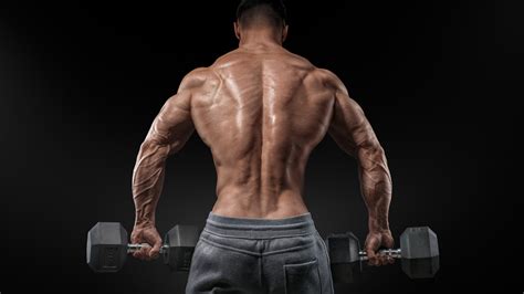 Wallpaper Bodybuilding, exercise, motivation, Training, back, bench