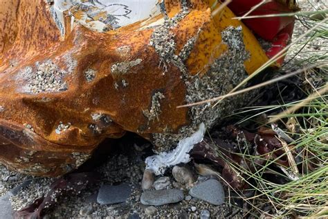 Potentially Hazardous Object Leaking White Substance Washes Ashore