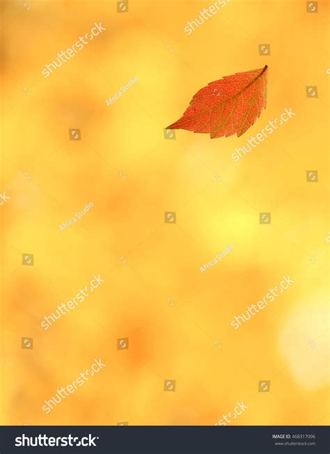 Autumn Leaf On Blurred Foliage Background Stock Photo 468317096