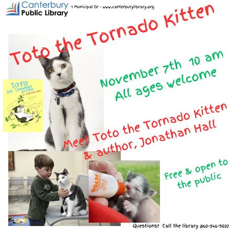Meet Toto The Tornado Kitten And Author Jonathan Hall Mysite