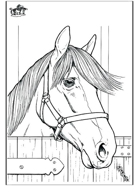 Quarter Horse Coloring Pages At Free Printable
