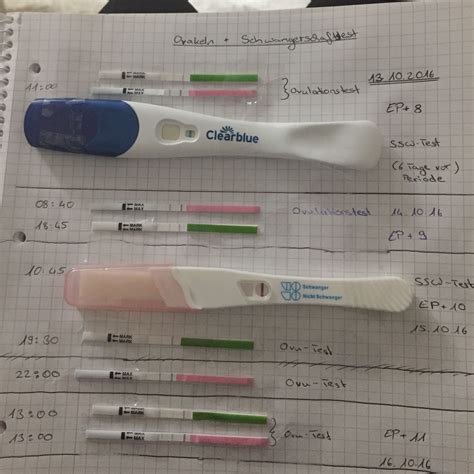 Erster tag ihrer letzten periode kennen sie ihren körper? Schwangerschaftsanzeichen, Eisprung + 11/12, stechen im ...