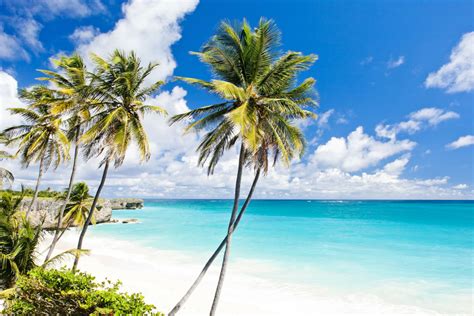 Barbados The Paradise Island Bidroom Blog