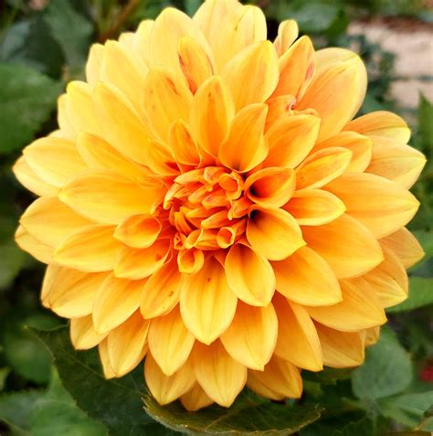 The Creative Arts Studio of Sea Cliff | Sea Cliff NY