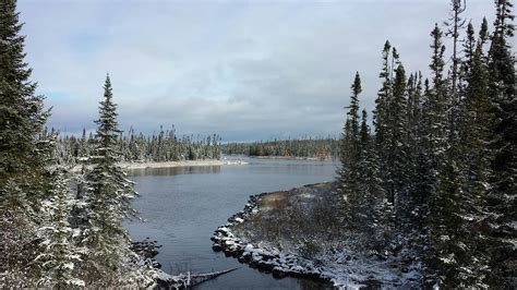 Protecting North Americas Boreal Forest Canopy
