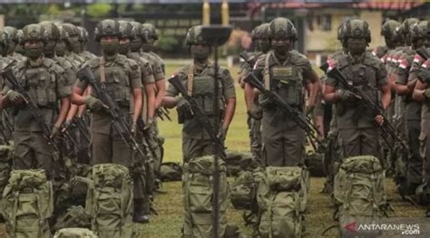 Pasukan Brimob Mendadak Kepung Papua Kkb Bisa Rontok