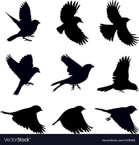 Silhouettes Birds Royalty Free Vector Image Vectorstock